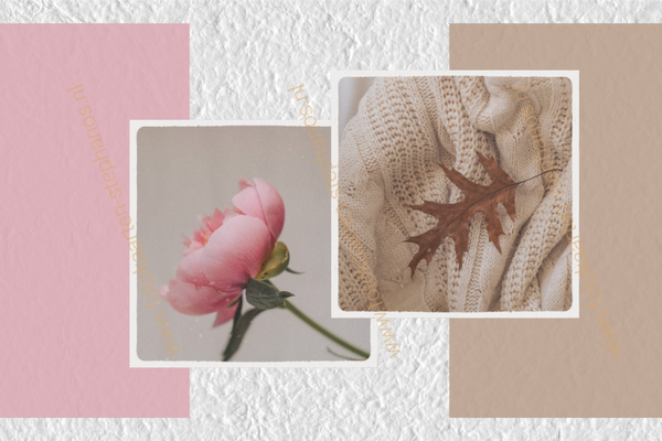 Blanco - Vrouw 83