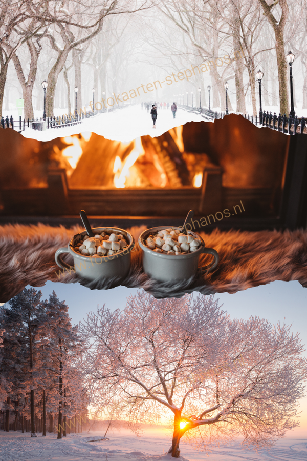 Kerst & Winter - Blanco Winter 09