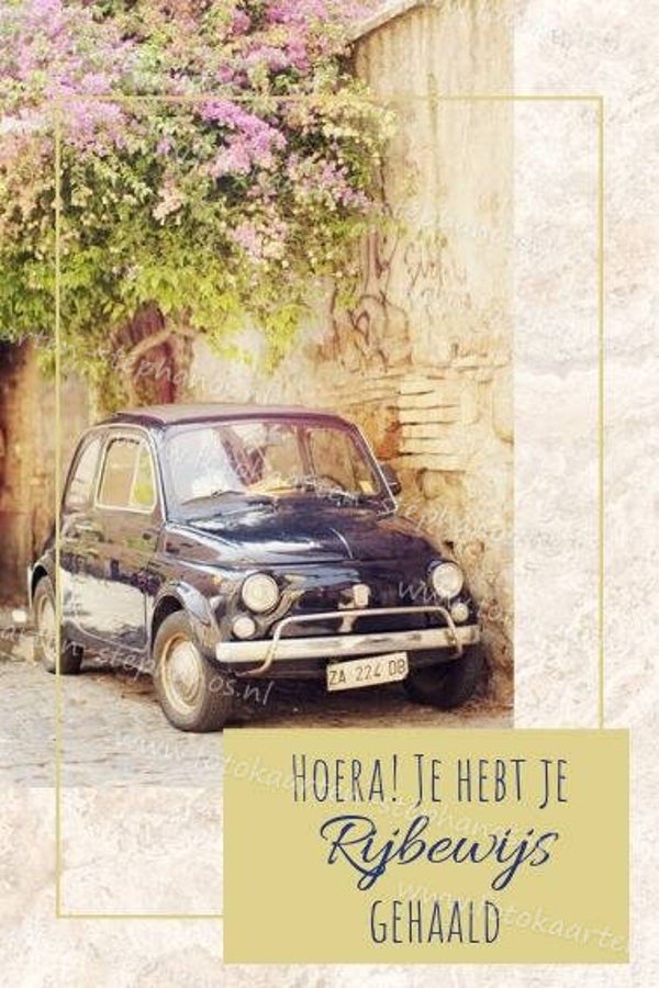 Diversen - Rijbewijs 02