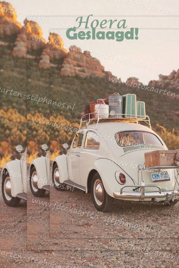 Diversen - Rijbewijs 06