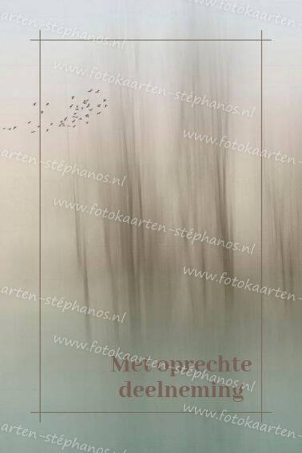 Medeleven - Oprechte deelneming 03