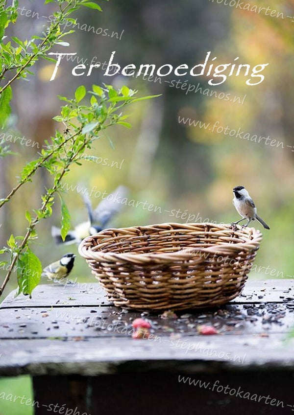 Medeleven - Ter bemoediging 06