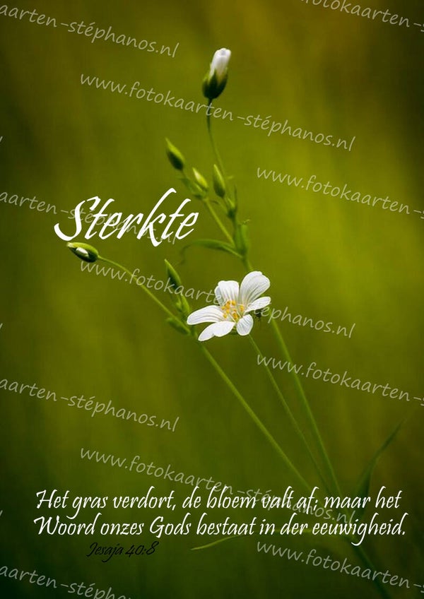 Medeleven - Bijbelteksten & Gedichten 04