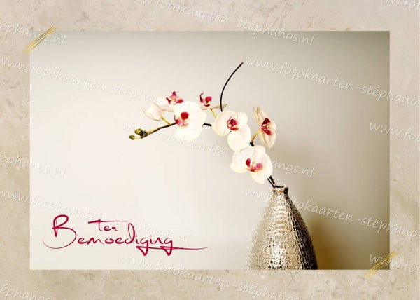 Medeleven - Ter bemoediging 12