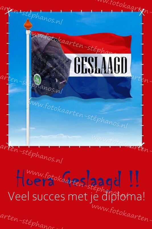 Diversen - Geslaagd 06