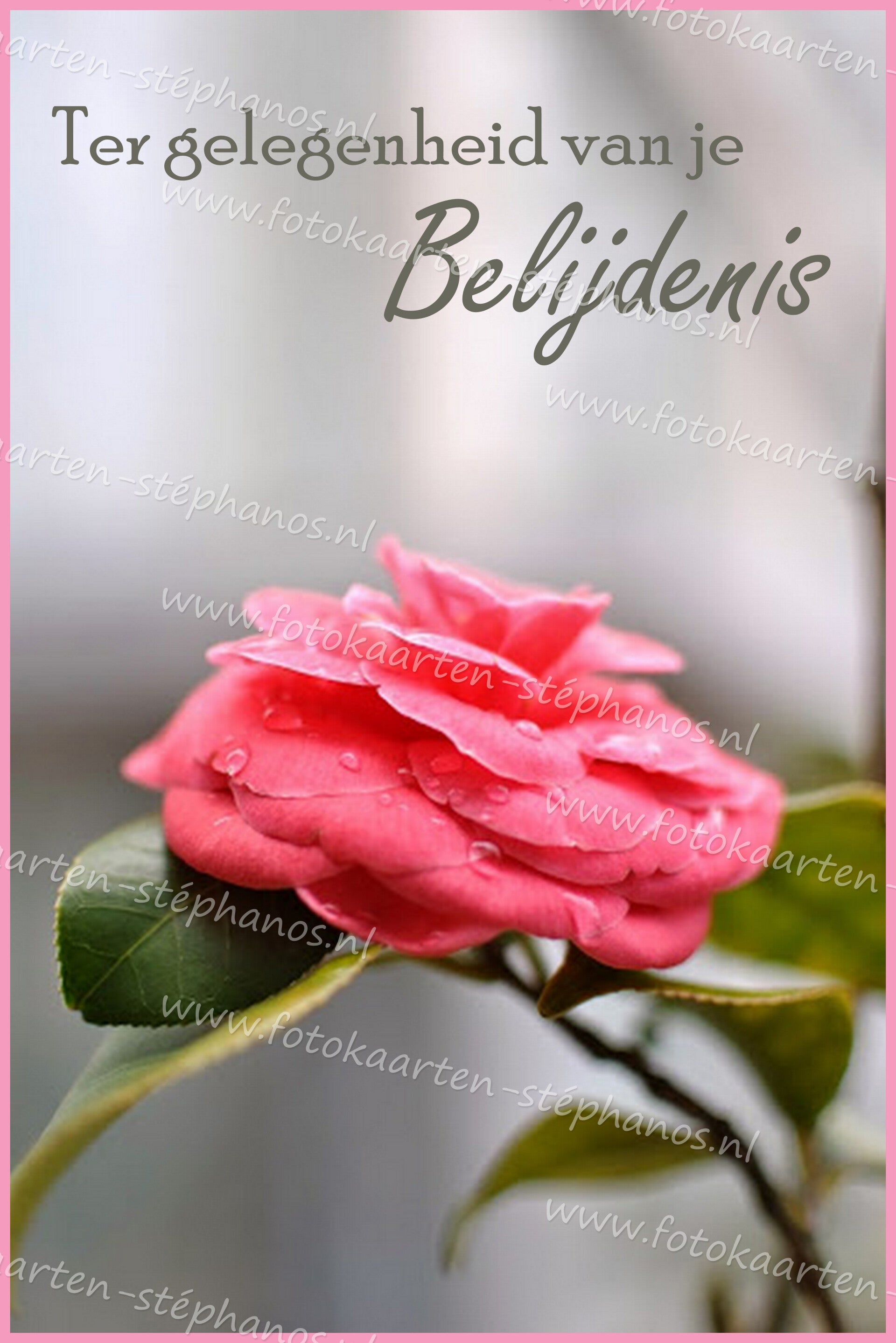 Diversen - Belijdenis 03