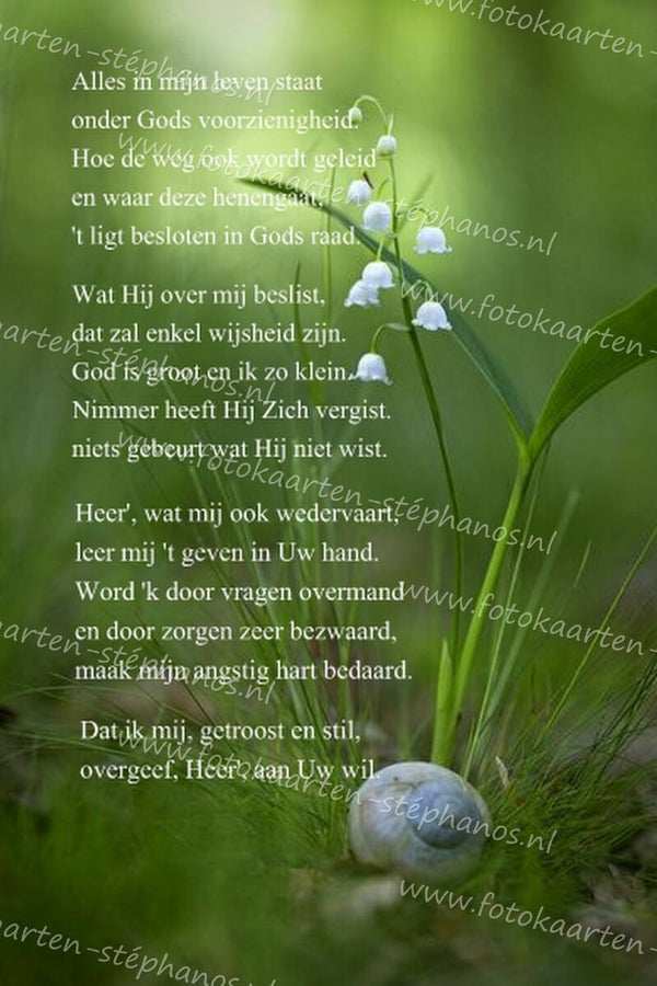 Bijbelteksten & Gedichten 18