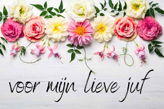 Diversen - Juf / Meester 06