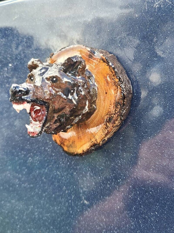 Magnet tête d'ours brun