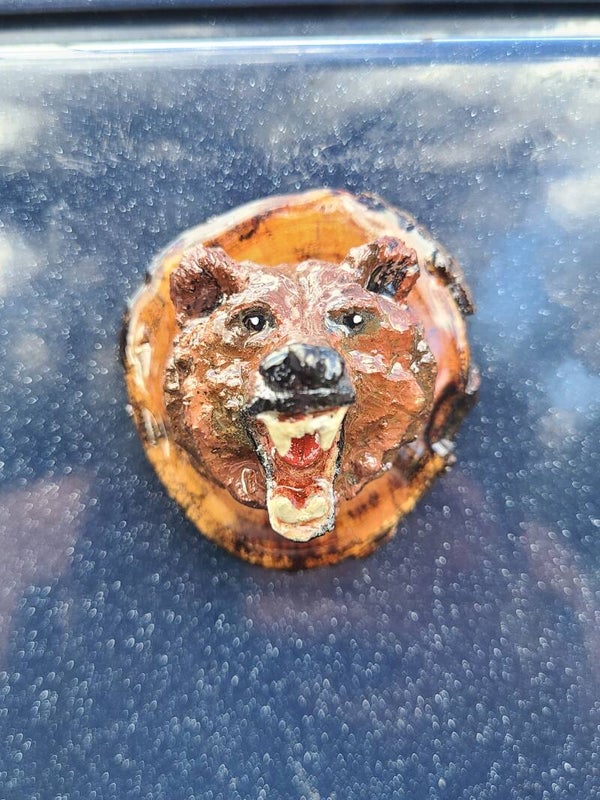 Magnet tête d'ours brun