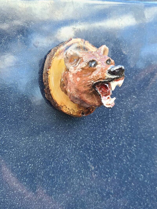 Magnet tête d'ours brun