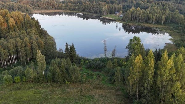 Müüa suur reljeefne kinnistu Otepääl