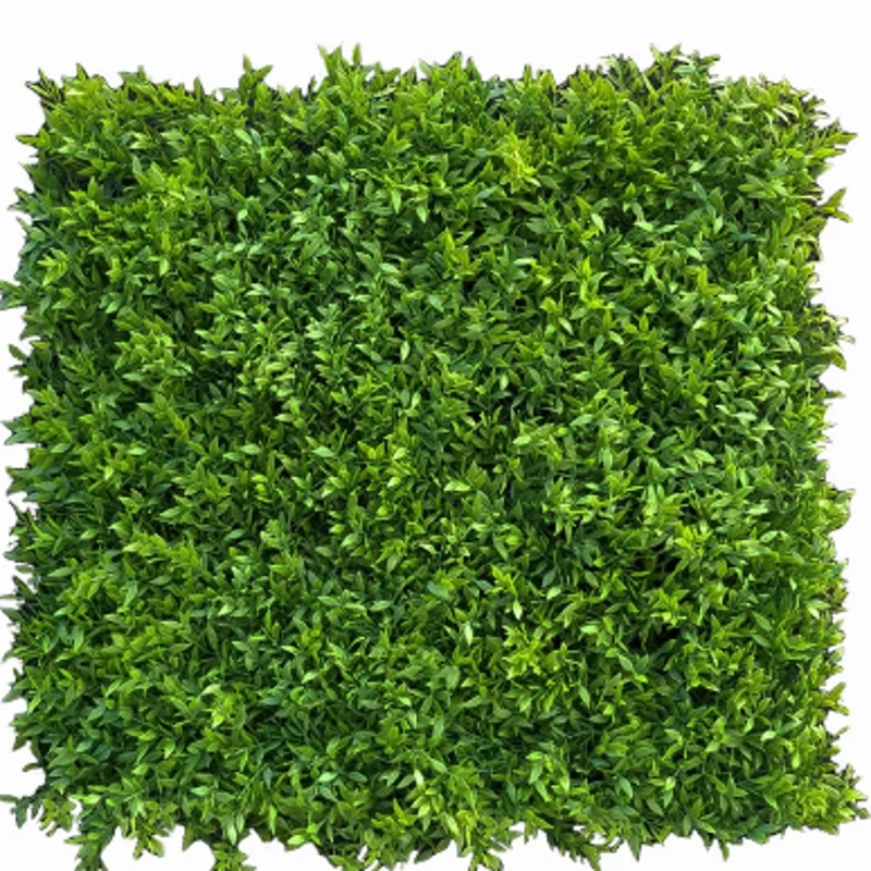 buxus-mouse-high-density-standard.png