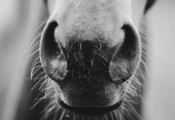 Gratis adviesgesprek: Tijdwinst