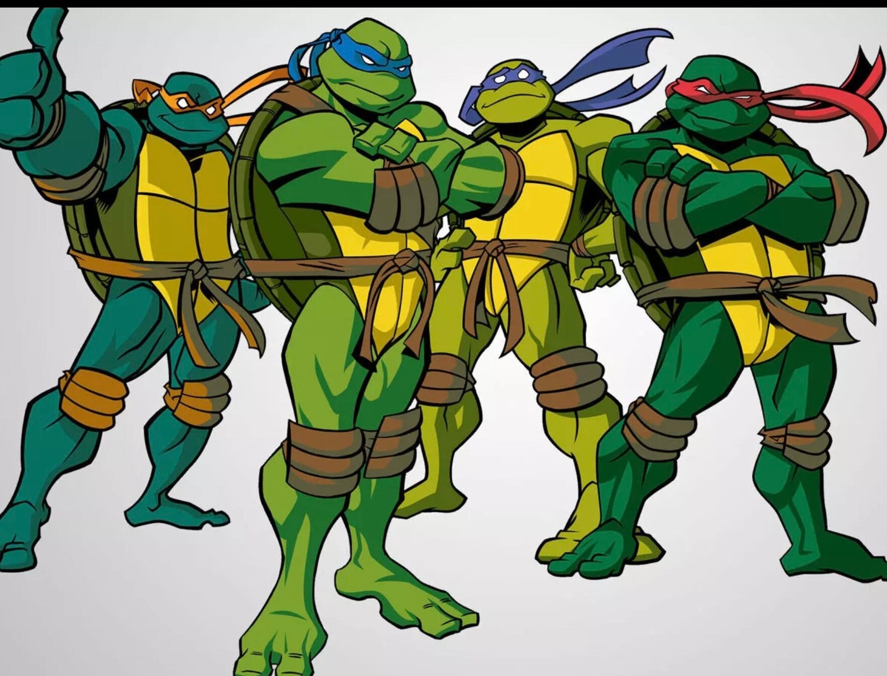 NINJA TURTLES SPECIAL