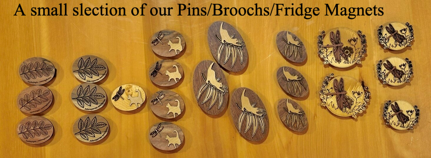 Brooch/Pin/Fridge Magnet