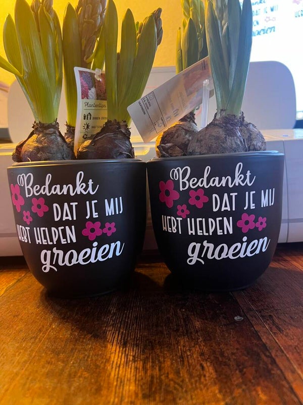 Plantenpot "Bedankt dat je mij hebt helpen groeien" - Perfect Cadeau voor Afscheid