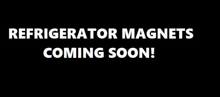 REFRIGERATOR MAGNETS