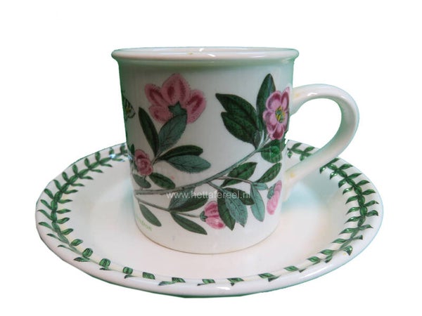 Kop en schotel The Botanic Garden,  Rhododendron