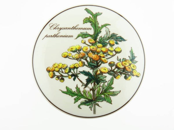 Dekseldooje Villeroy & Boch, Botanica