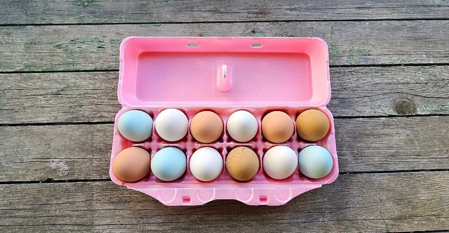 Farm Fresh Eggs 12- one Dozen