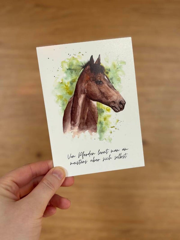 Postkarte Pferd