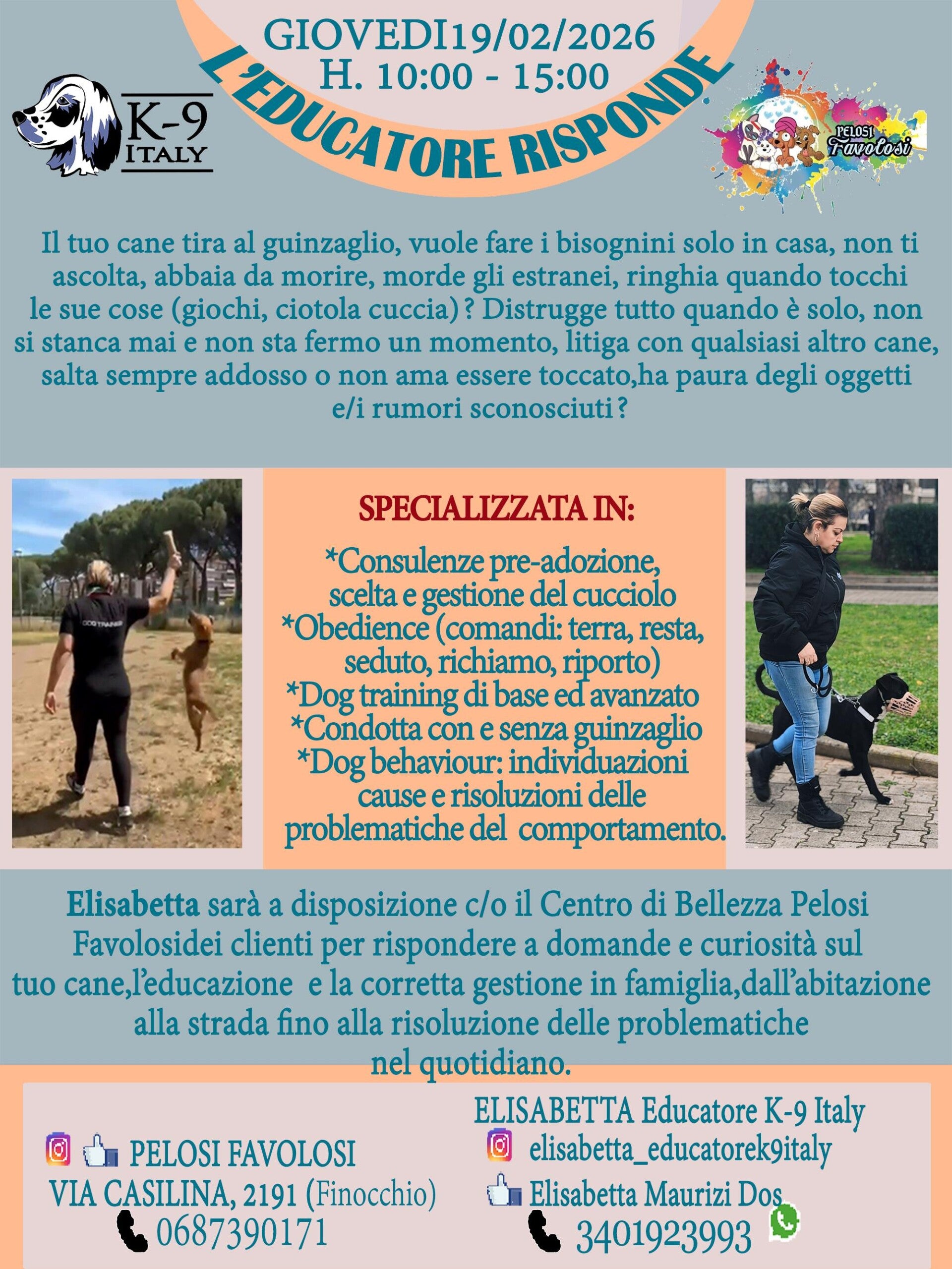 evento-febbraio-pelosi-favolosi-standard.jpg