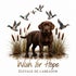Elevage Wish for Hope