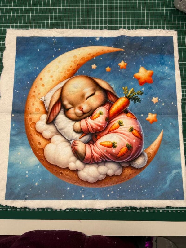 Coussin vente flash lapin minky lisse