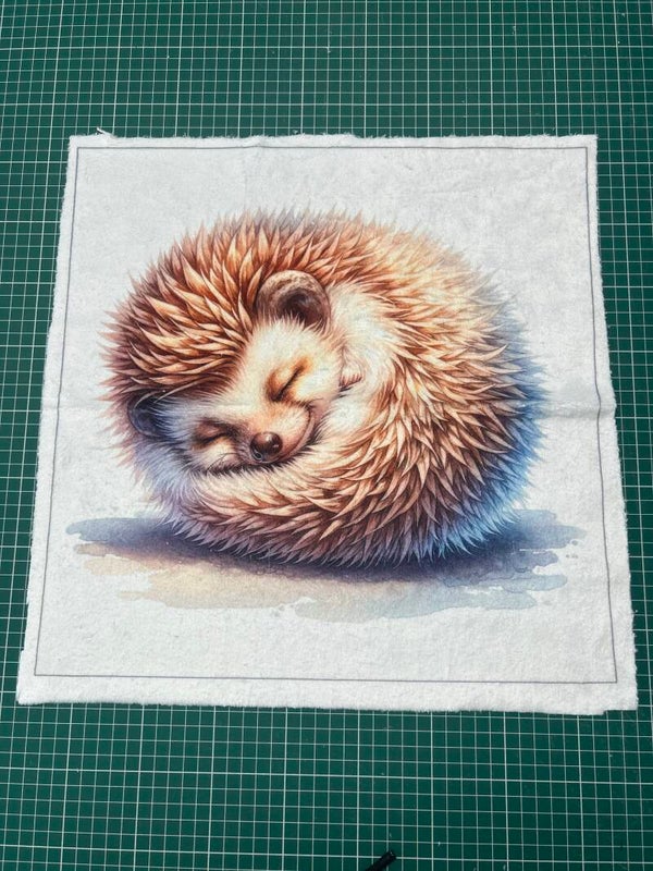 Coussin minky lisse Alvin modèle 2