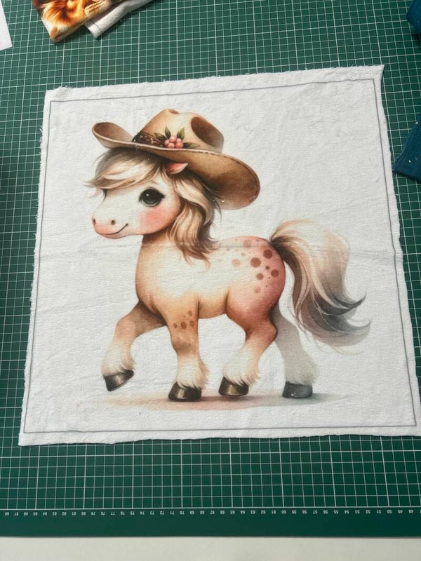 Coussin minky lisse Ashley modèle 1