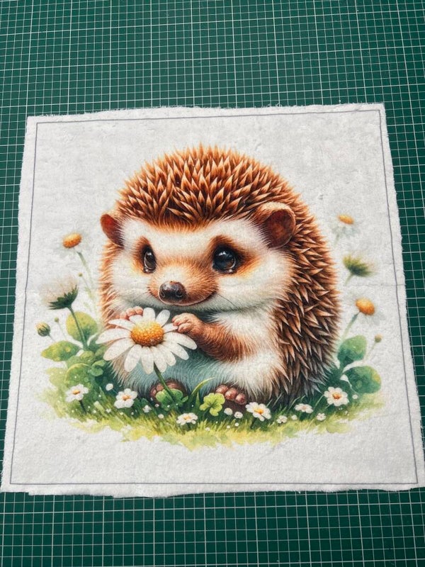 Coussin minky lisse Alvin modèle 1