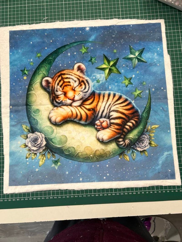 Coussin vente flash tigre minky lisse