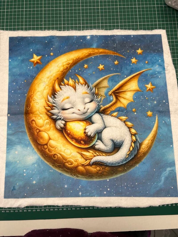 Coussin vente flash dragon minky lisse