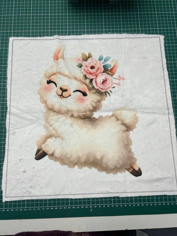 Coussin minky lisse Hirma modèle 1