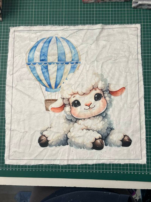 Coussin minky lisse Bibou modèle 2