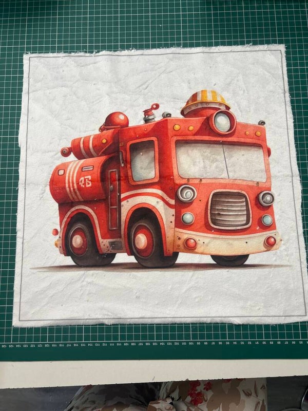 Coussin minky lisse Samuel modèle 2