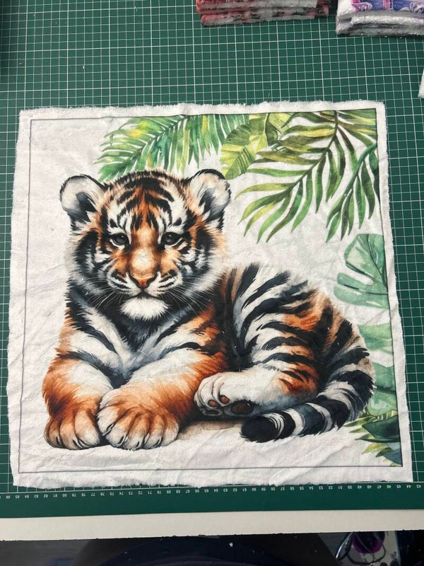 Coussin minky lisse Atlas modèle 1