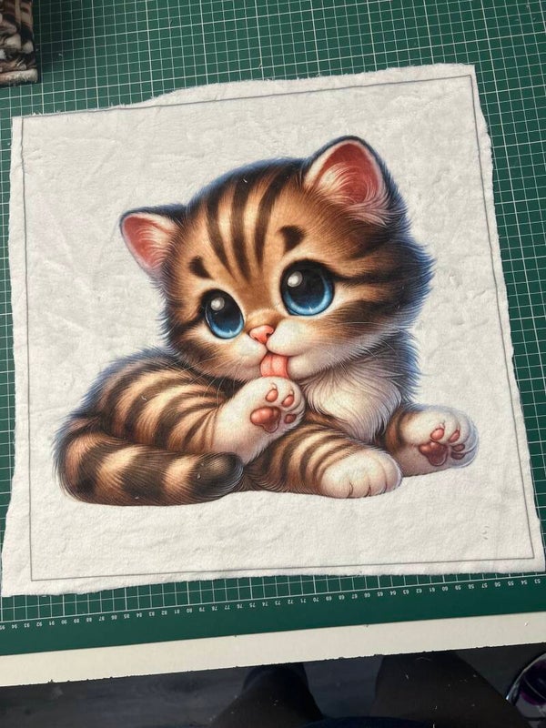 Coussin minky lisse Kitty modèle 2