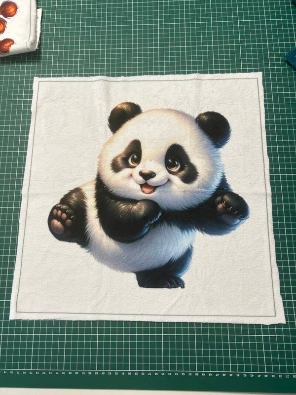 Coussin minky lisse joyeux panda modèle 2