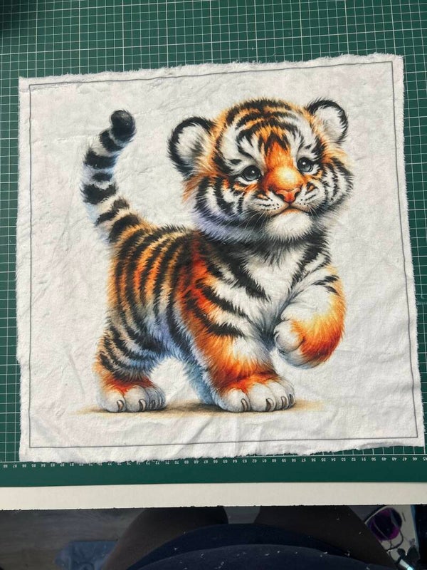 Coussin minky lisse Atlas modèle 2