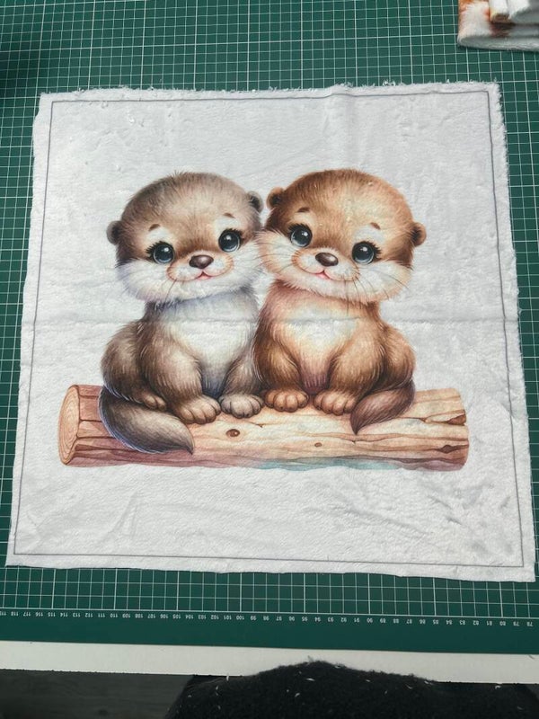 Coussin minky lisse Milo modèle 1