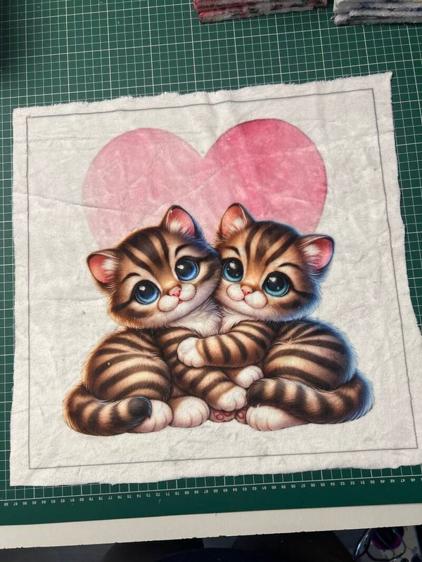 Coussin minky lisse Kitty modèle 1