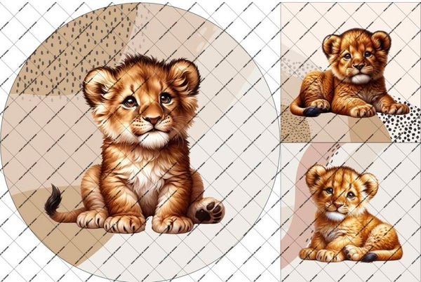 Panneau tapis rond + coussin Bongo