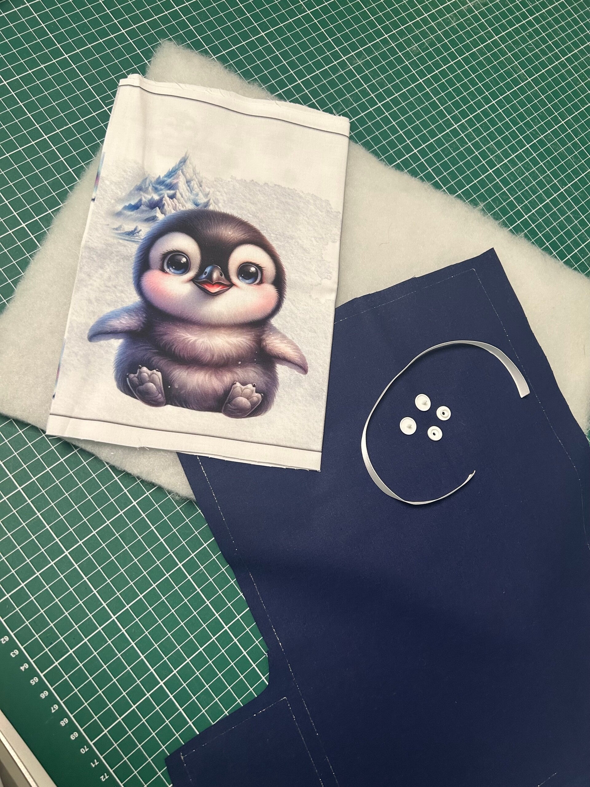 Kit protège carnet de santé Snow