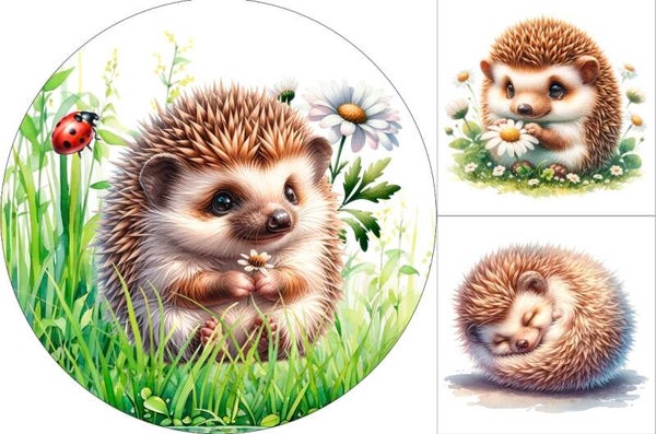 Panneau tapis rond + coussin Alvin