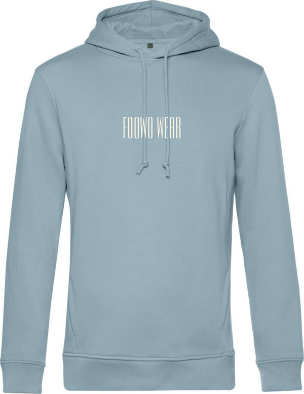 HOODIE FW VINTAGE BLUE FROG