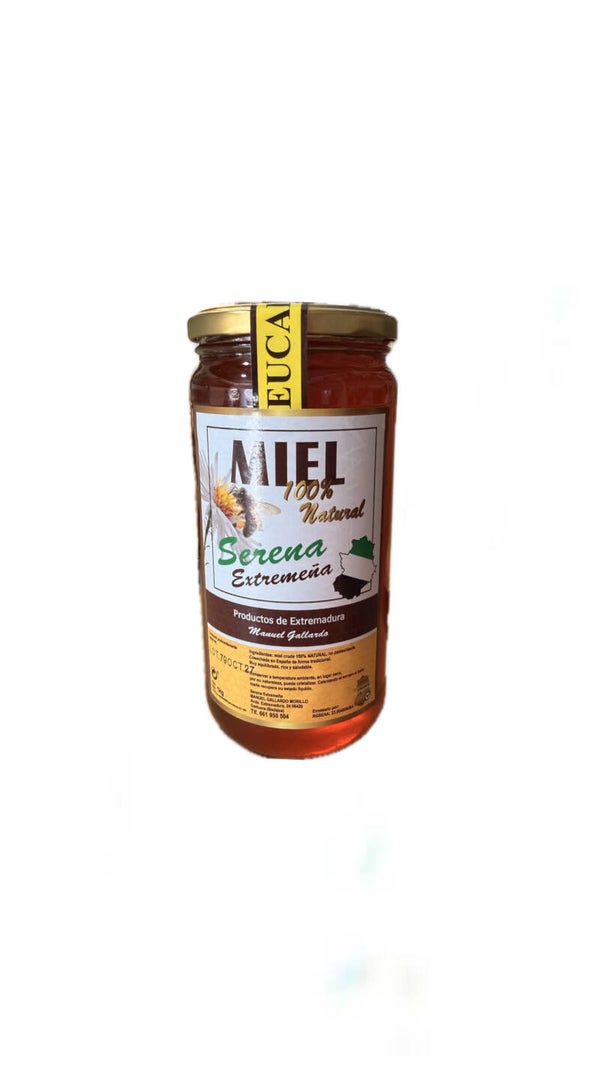 Miel de Eucalipto