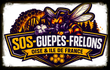 sos-guepes-frelons-oise et ile de france