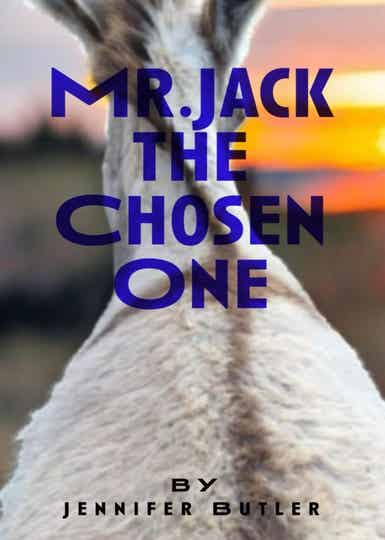 Mr Jack- The Chosen One